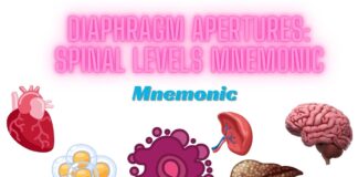 Diaphragm apertures Spinal levels Mnemonic