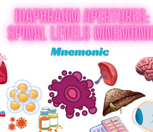 Diaphragm apertures Spinal levels Mnemonic
