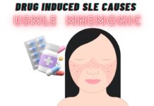 Drugs causing SLE Mnemonic