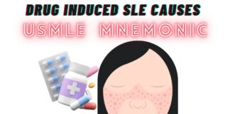 Drugs causing SLE Mnemonic