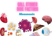 Gall Stones Risk Factors Mnemonic