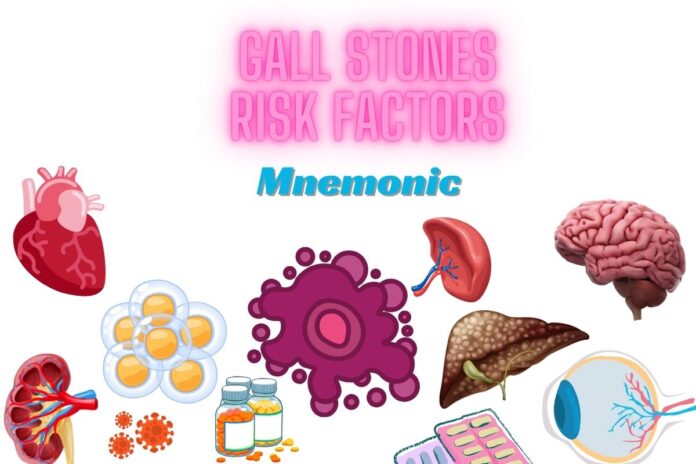 Gall Stones Risk Factors Mnemonic