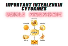Important Interleukin Cytokines