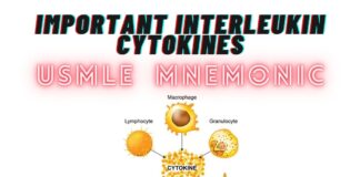 Important Interleukin Cytokines