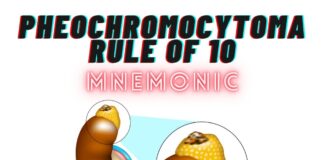 Pheochromocytoma Rule of 10 Mnemonic