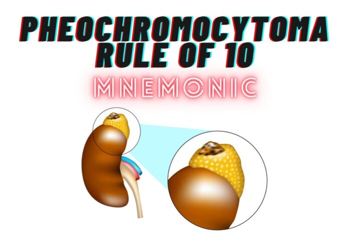 Pheochromocytoma Rule of 10 Mnemonic