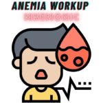 Anemia Workup Mnemonic
