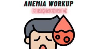 Anemia Workup Mnemonic