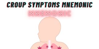 Croup Symptoms Mnemonic: “BARKS”