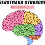 Gerstmann Syndrome Features Mnemonic