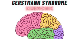 Gerstmann Syndrome Features Mnemonic