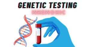 How to Remember Southern, Northern, and Western Blot Tests
