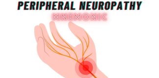 Peripheral Neuropathy Causes