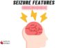 Seizure Features Mnemonic