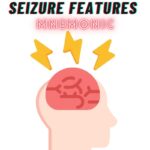 Seizure Features Mnemonic