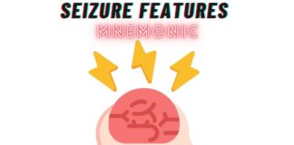 Seizure Features Mnemonic