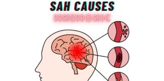 Subarachnoid Hemorrhage Causes Mnemonic